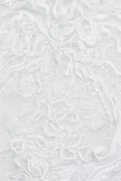 Beaded Lace Wedding Dress With Pleated Skirt 15 Beaded Lace Wedding Dress With Pleated Skirt -Bridal Shop CWG780 WHITE OLEG SWATCH PROD5 006