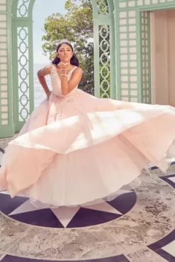 Fairytale Ballgown With Embellished Lace Applique 7 Fairytale Ballgown With Embellished Lace Applique -Bridal Shop FR2103 PDP Crop JUNE21 1920x2880