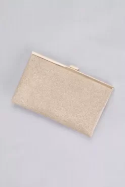 Allover Glitter Metallic Clutch